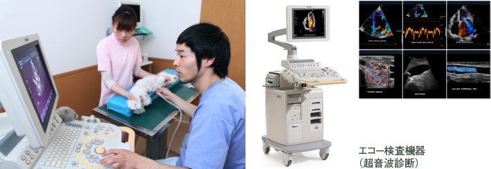 エコー検査機器（超音波診断）