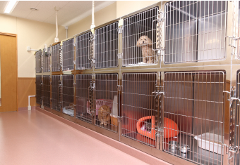 ペットホテル