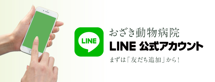 LINE　友達追加