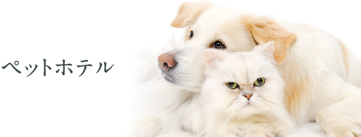 ペットホテル