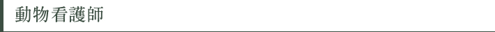 動物看護師