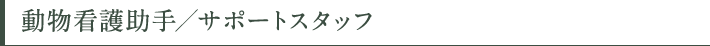 動物看護助手/サポートスタッフ