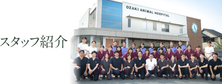 スタッフ紹介