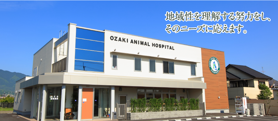 地域性を理解する努力をし、そのニーズに応えます。