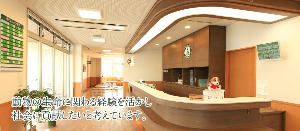 動物の生命に関わる経験を活かし社会に貢献したいと考えています。